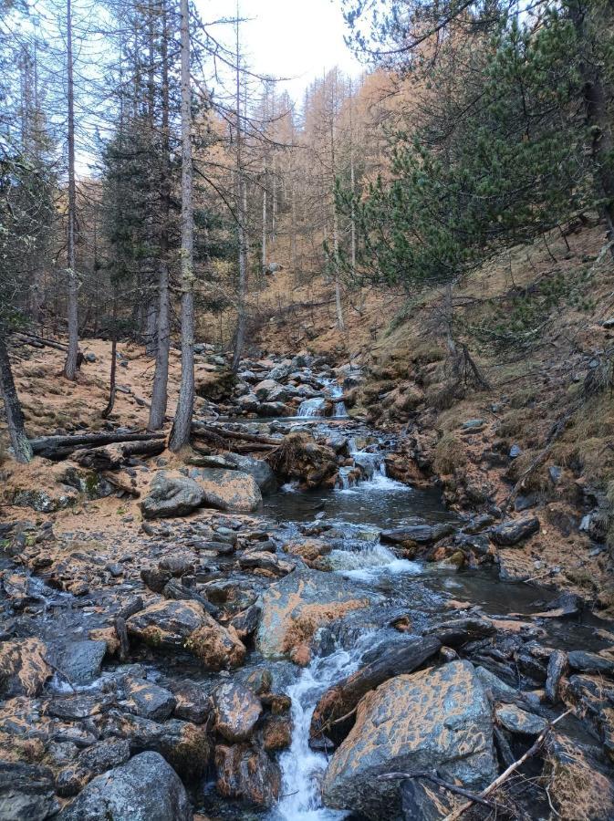 Appartement Les Hauts Du Roux Abriès
