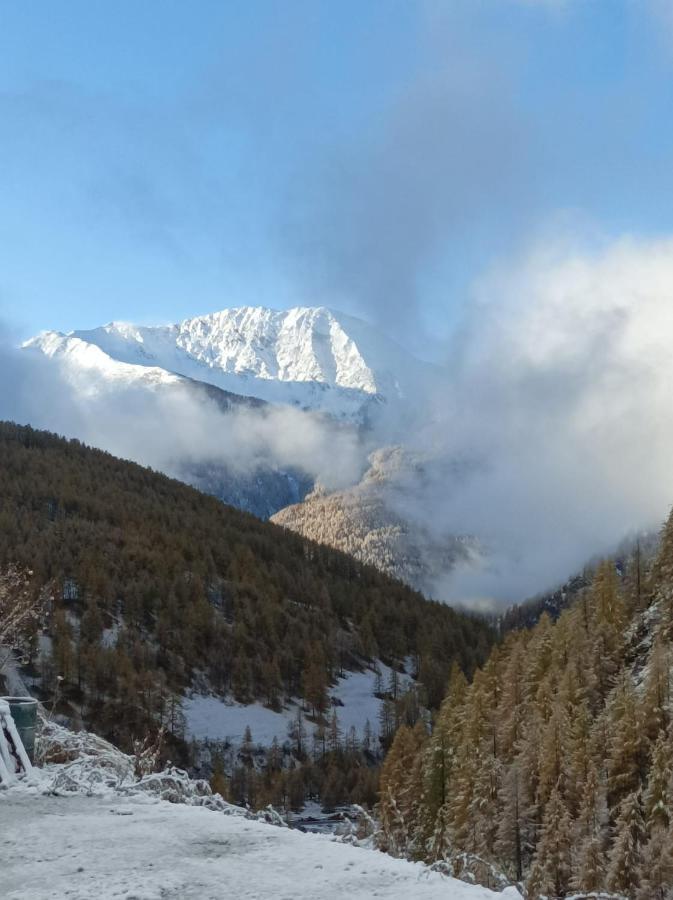 Appartement Les Hauts Du Roux *